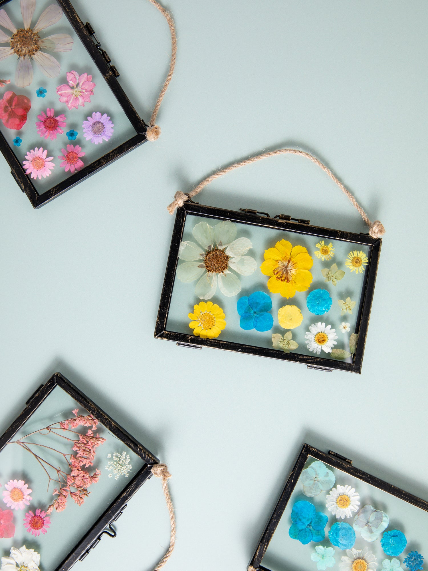 Colourful dried flowers in metal frames perfect for styling your home and displaying on your walls