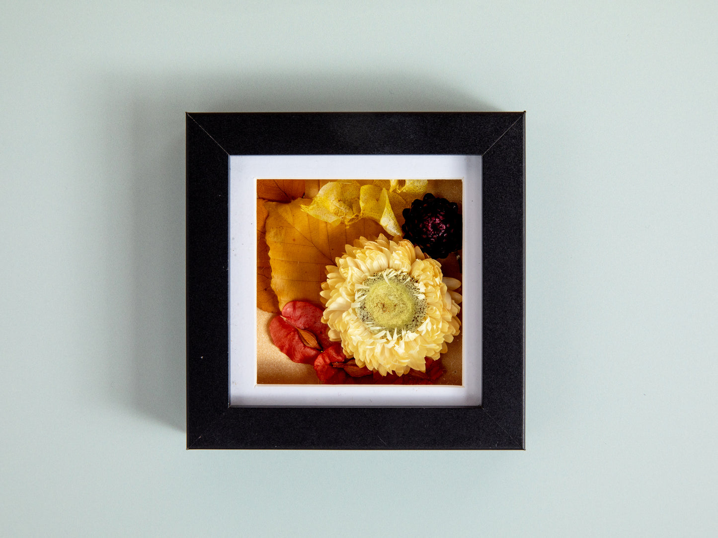 Mini Shadow Box Dried Flower Frames