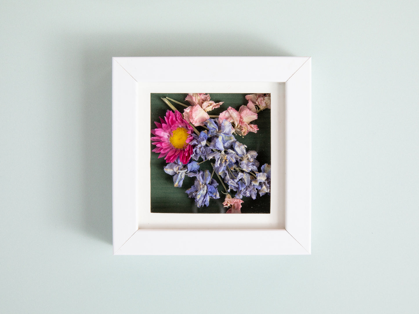 Mini Shadow Box Dried Flower Frames