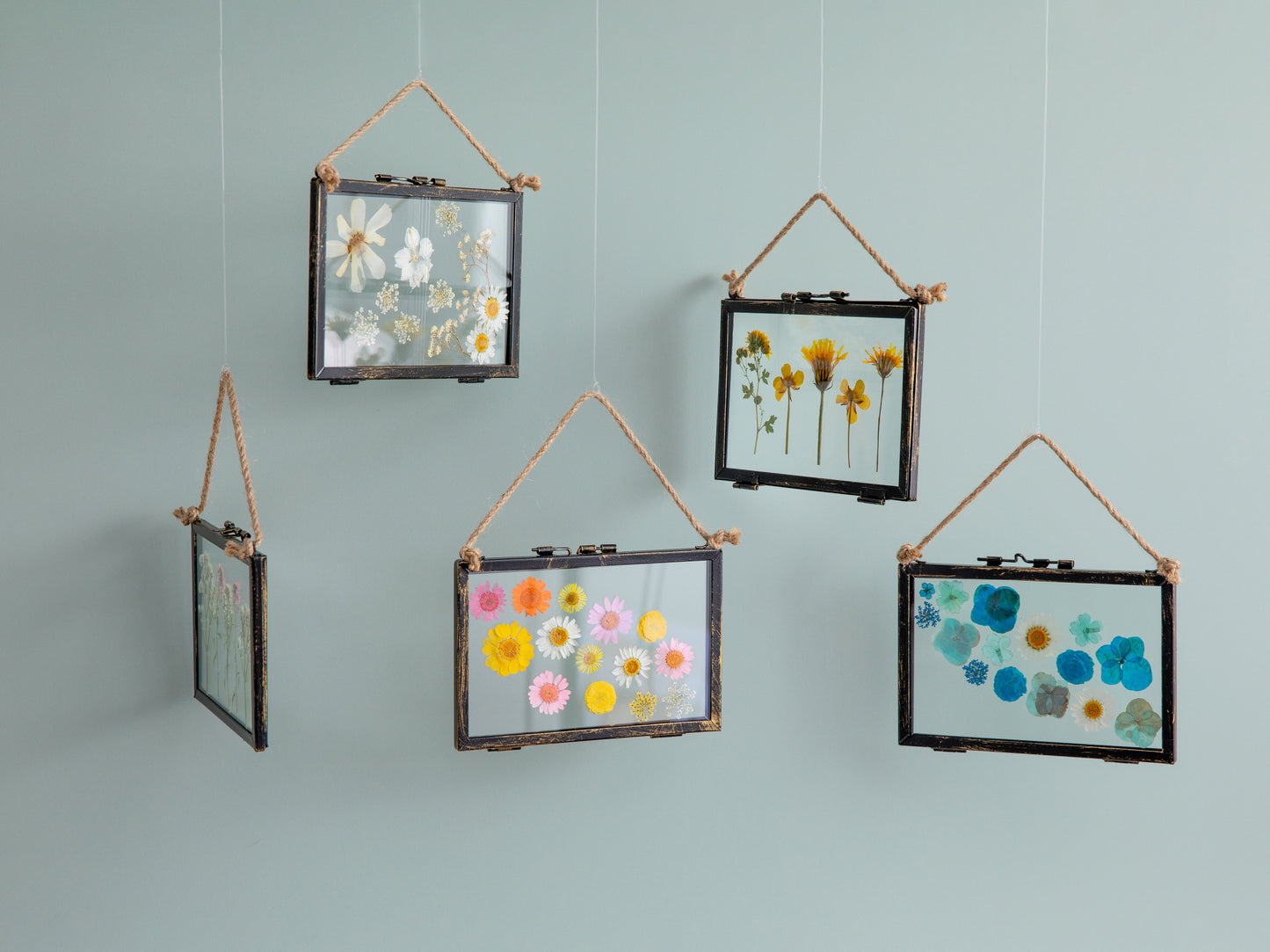 Pressed Flower Frames