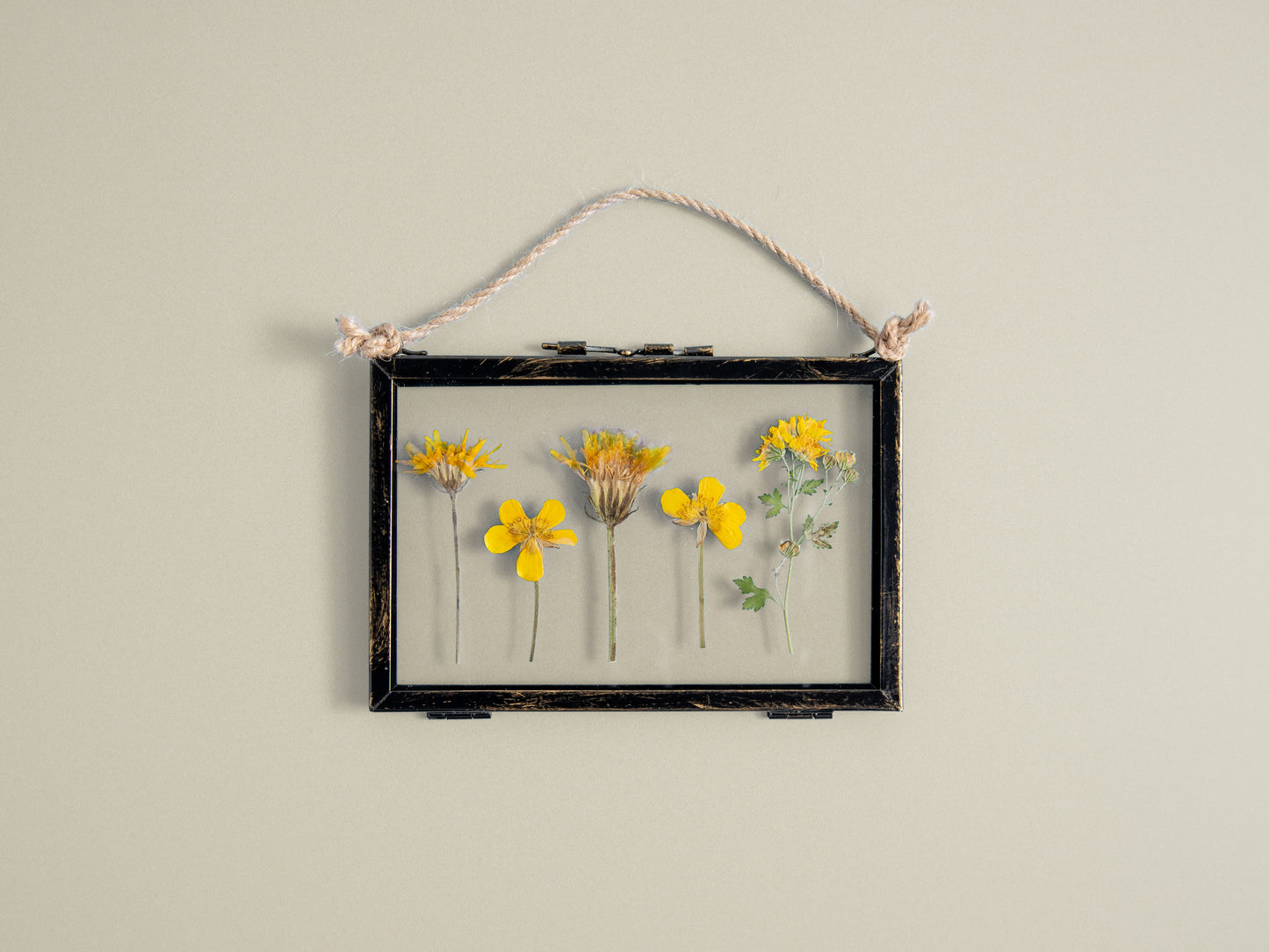 Pressed Flower Frames